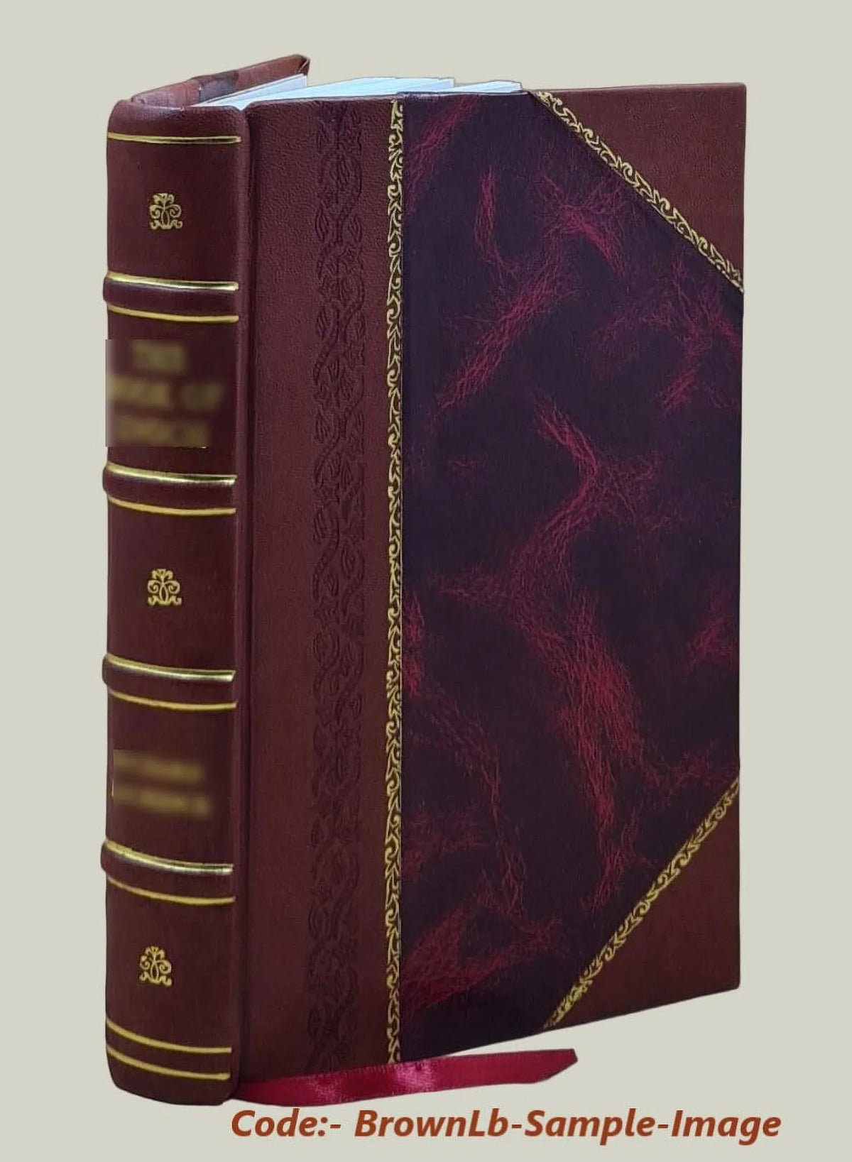 Concrete silos their advantages different types, how to build them 1916 [Leather Bound]