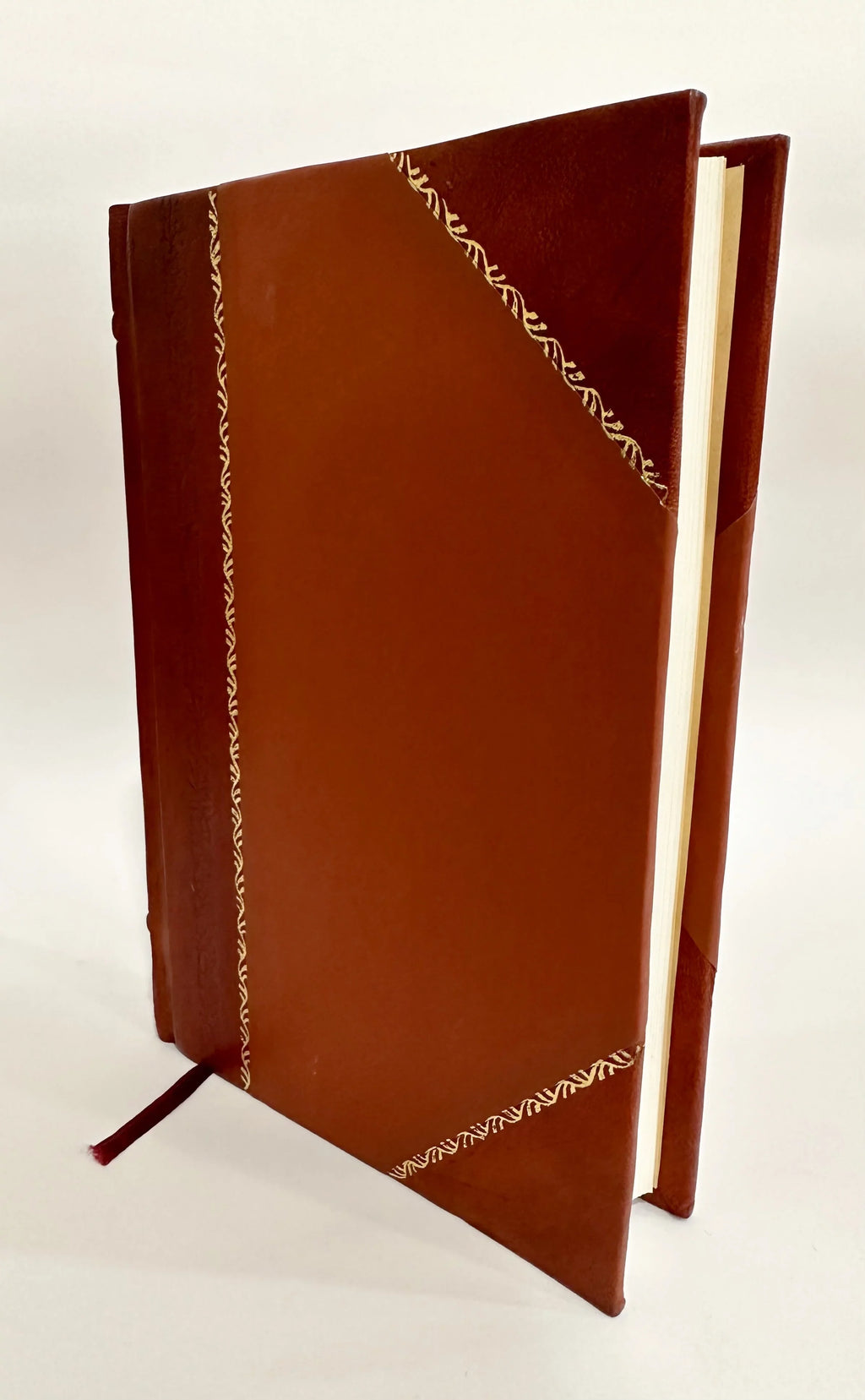 Hampshire, with the Isle of Wight / George Albemarle Bertie Dewar, John Vaughan (1901) (1901) [Leather Bound]