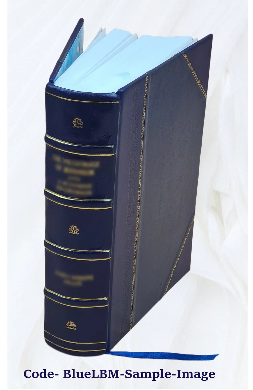 James Bridger, trapper, frontiersman, scout and guide; a historical narrative ... 1925 [Leather Bound]