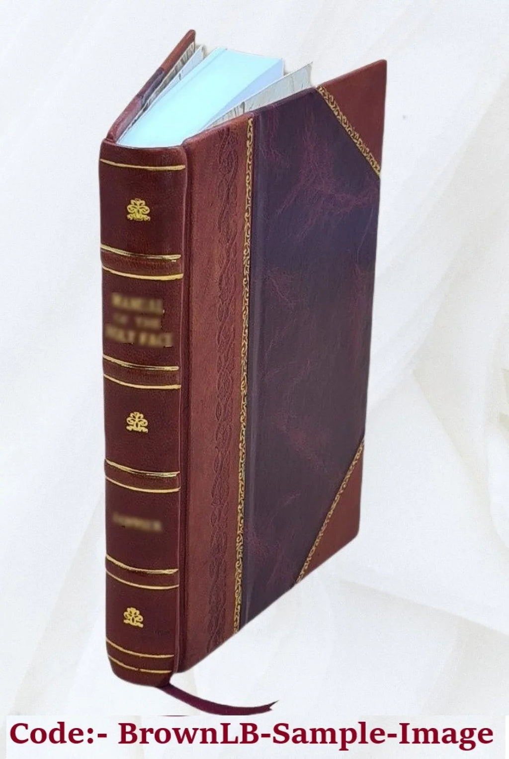 The Halcyon luminary, and Theological repository Volume 1 1812 [Leather Bound]