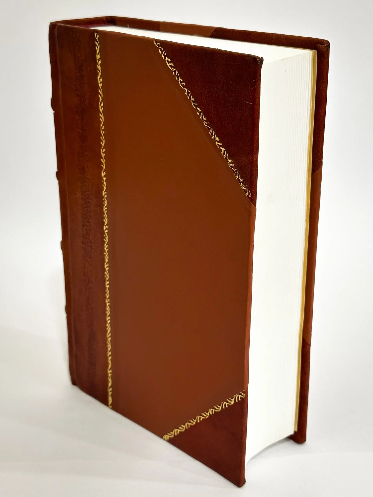 Le Prudent Voyageur, Contenant La Description Politique De Tous Les Etats Du Monde, De L'Asie, De L'Afrique, & De L'Amerique, & Particulierement De L'Europe. Ou Sont (1681) [Leather Bound]