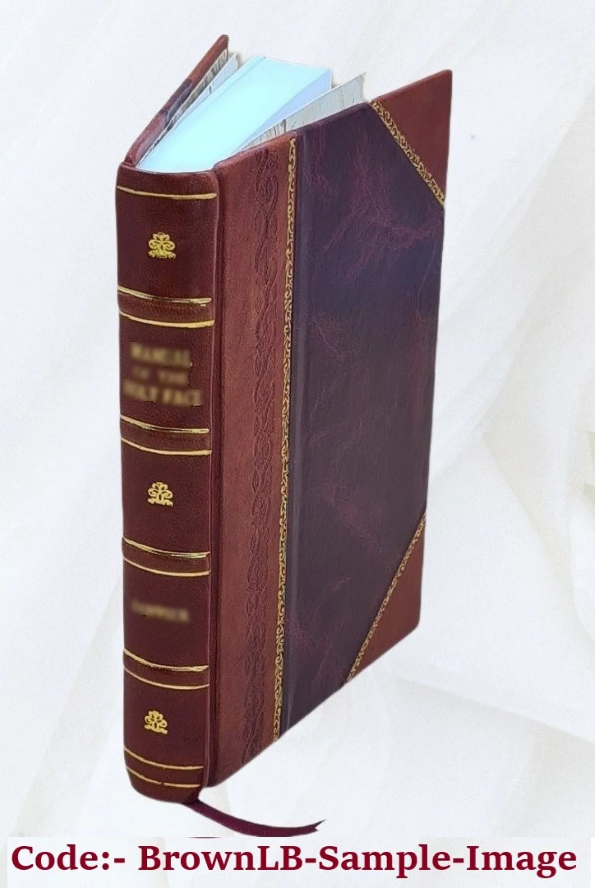 Wandering ghosts 1911 [Leather Bound]
