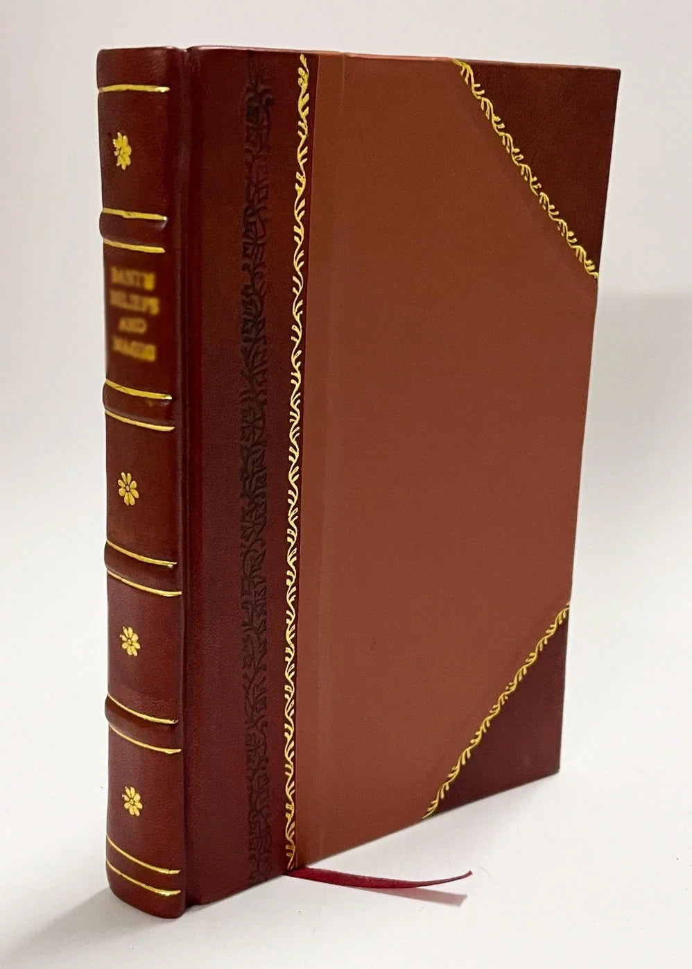 Guide Du Cabinet Royal De Curiosites, Ou Description Detaillee Des Objets, Qui Y Sont Representes Die in Diesem Cabinet De Curiosites Aufbewahrten Gegenstande Zerfallen in (1861) [Leather Bound]